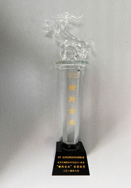 武汉市东湖高新区“瞪羚企业”